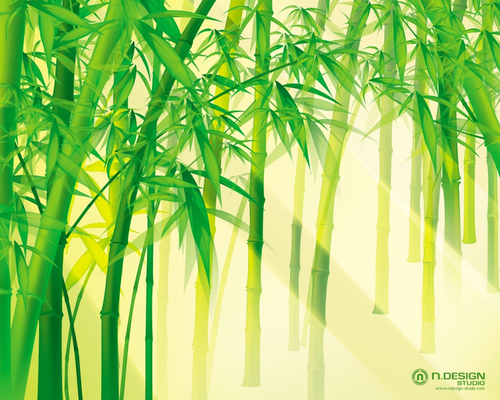Nursery Plants Bamboo Bamboo Screensaver Bamboo Plants