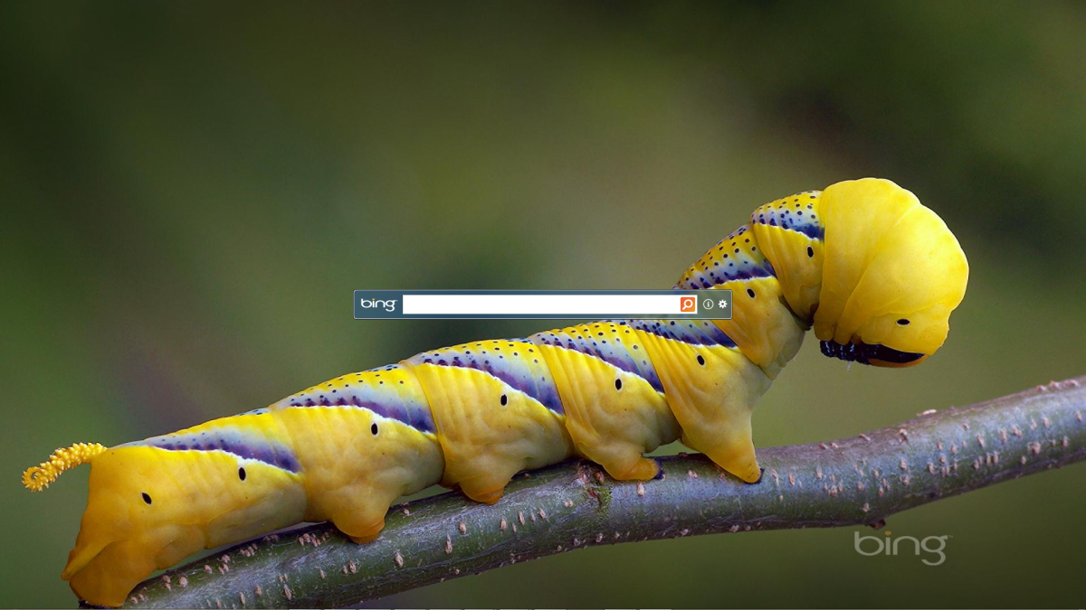 Bing Desktop Beta Brings Bing Homepage Image To Your Desktop Everyday