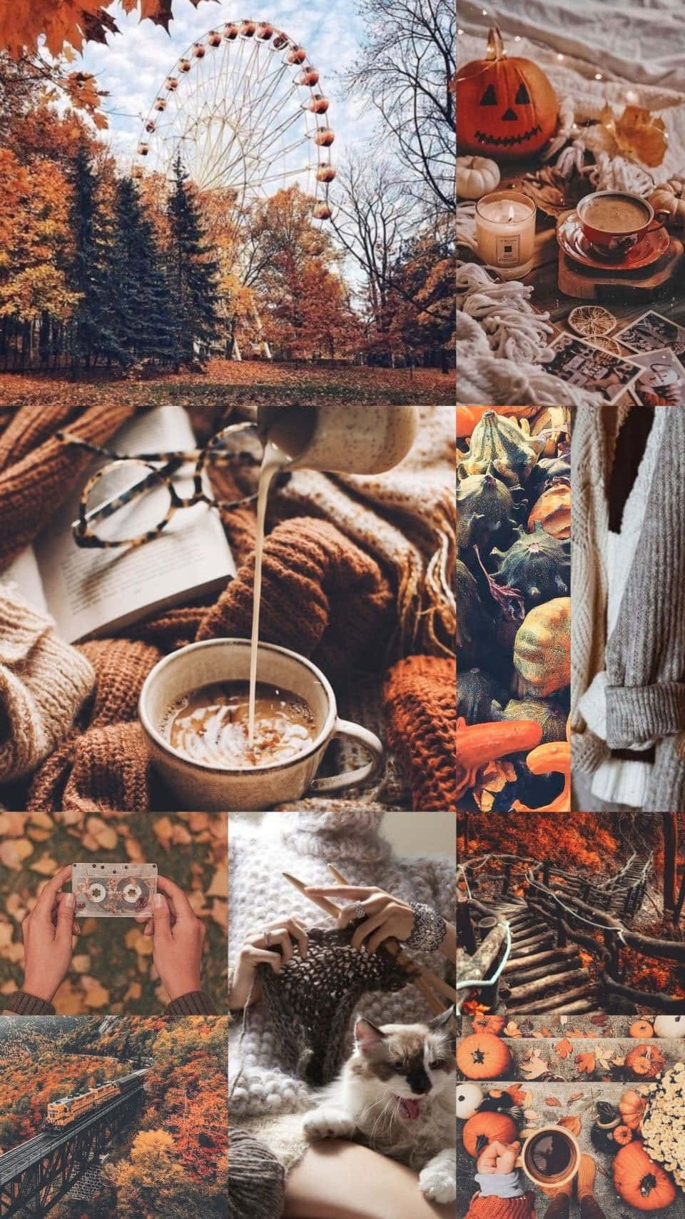 Cute Autumn Wallpaper