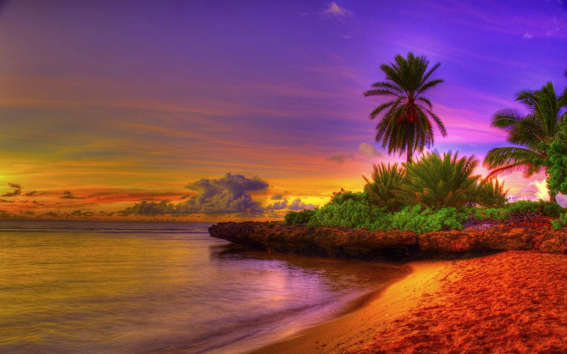Tropical Sunrise Wallpaper Picture HD