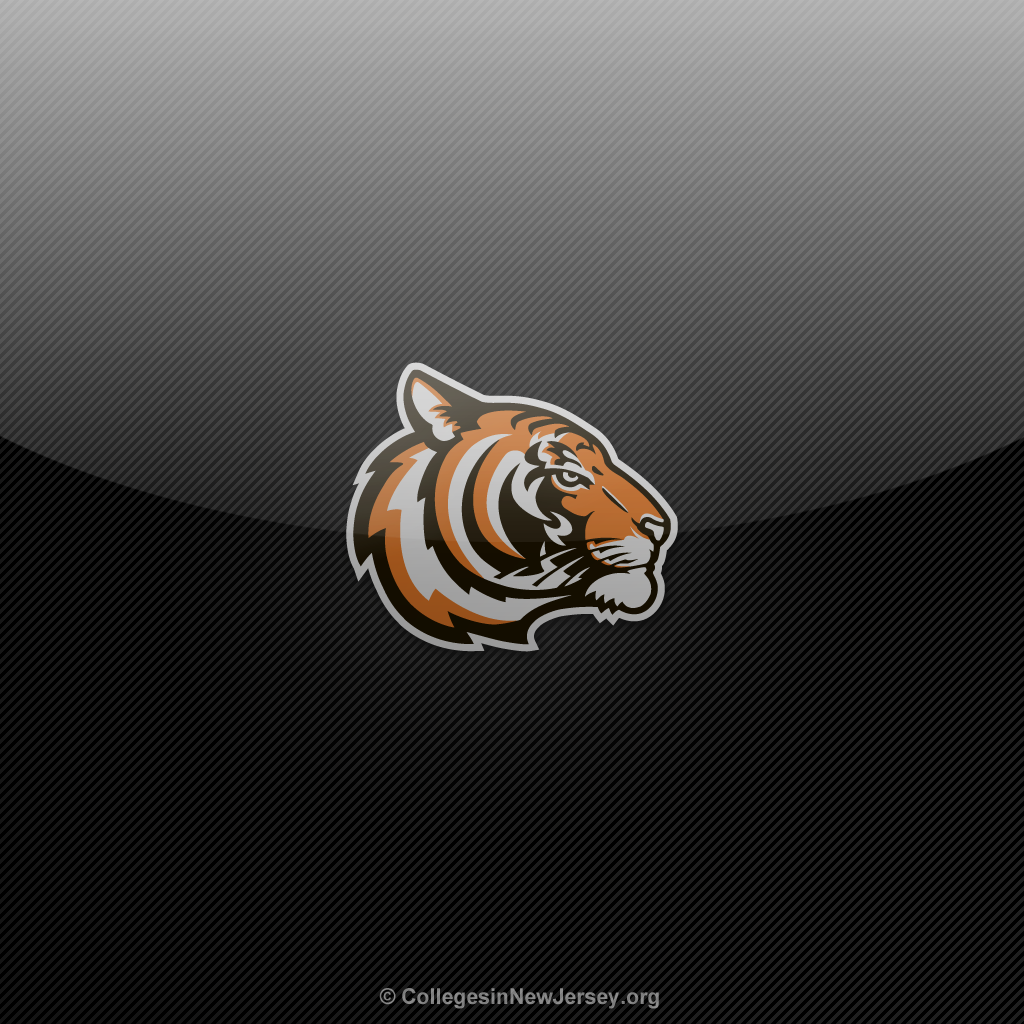 Princeton Tigers iPad Wallpaper