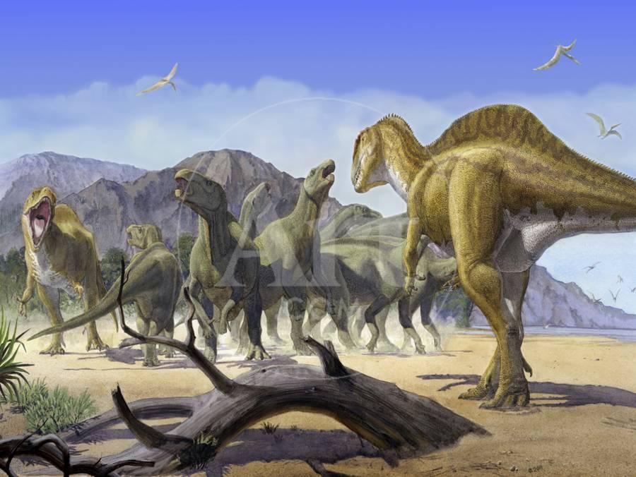 Altispinax Dunkeri Dinosaurs Attack A Group Of Iguanodon