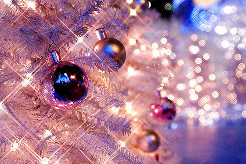 Beleza Christmas Lights Tree Frost Image