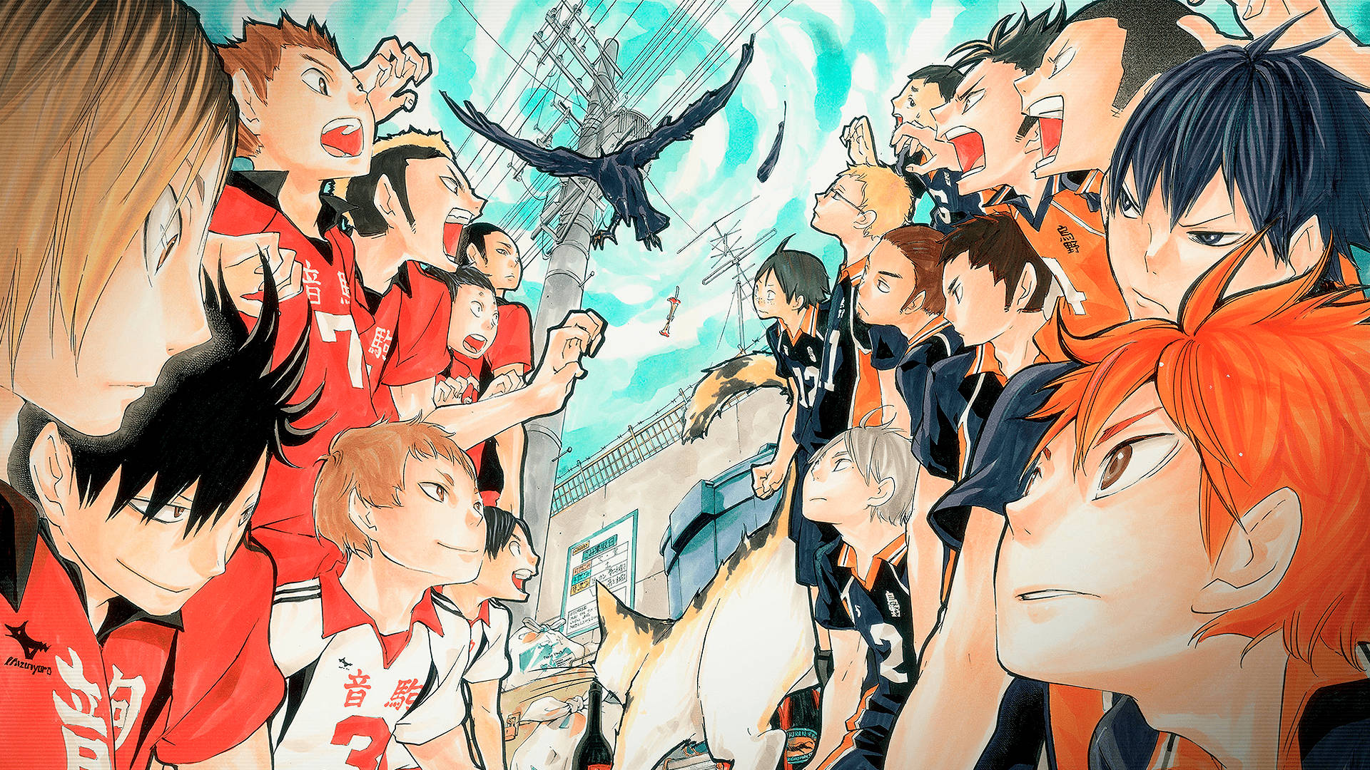 Top Haikyuu Teams Wallpaper Full HD 4k To Use