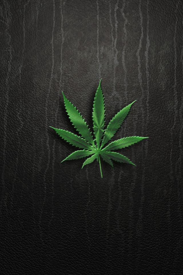 Marijuana Plants Blunt Wallpaper