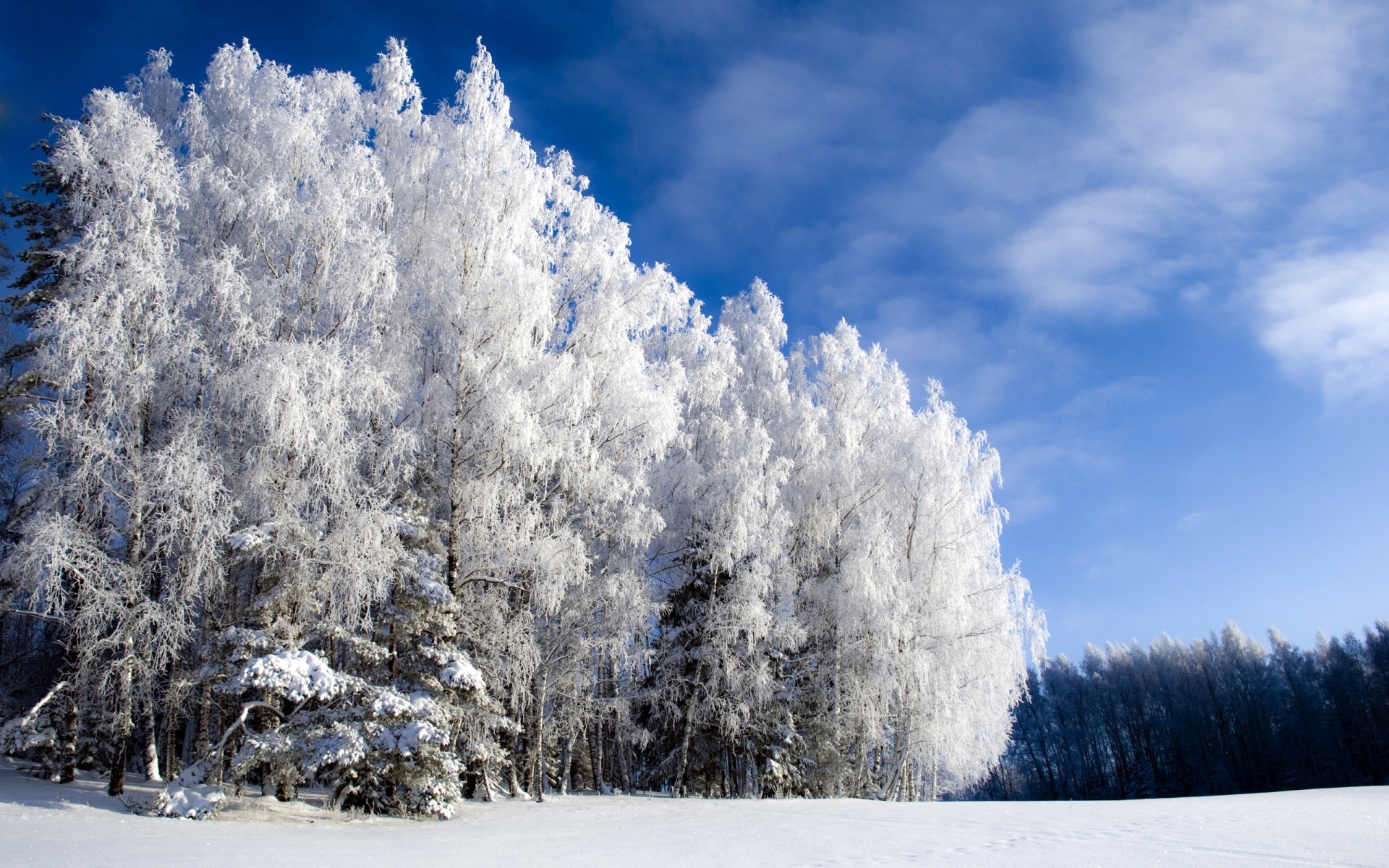 Winter Landscape HD Desktop Wallpaper