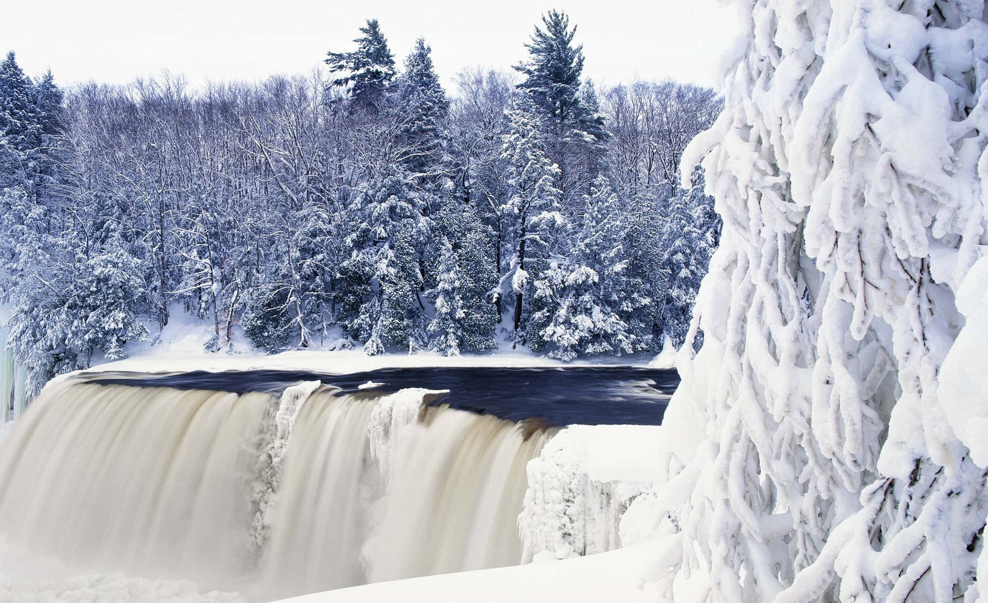 Experience The Winter Scenery Of Nature Straight From Your Wallpaper