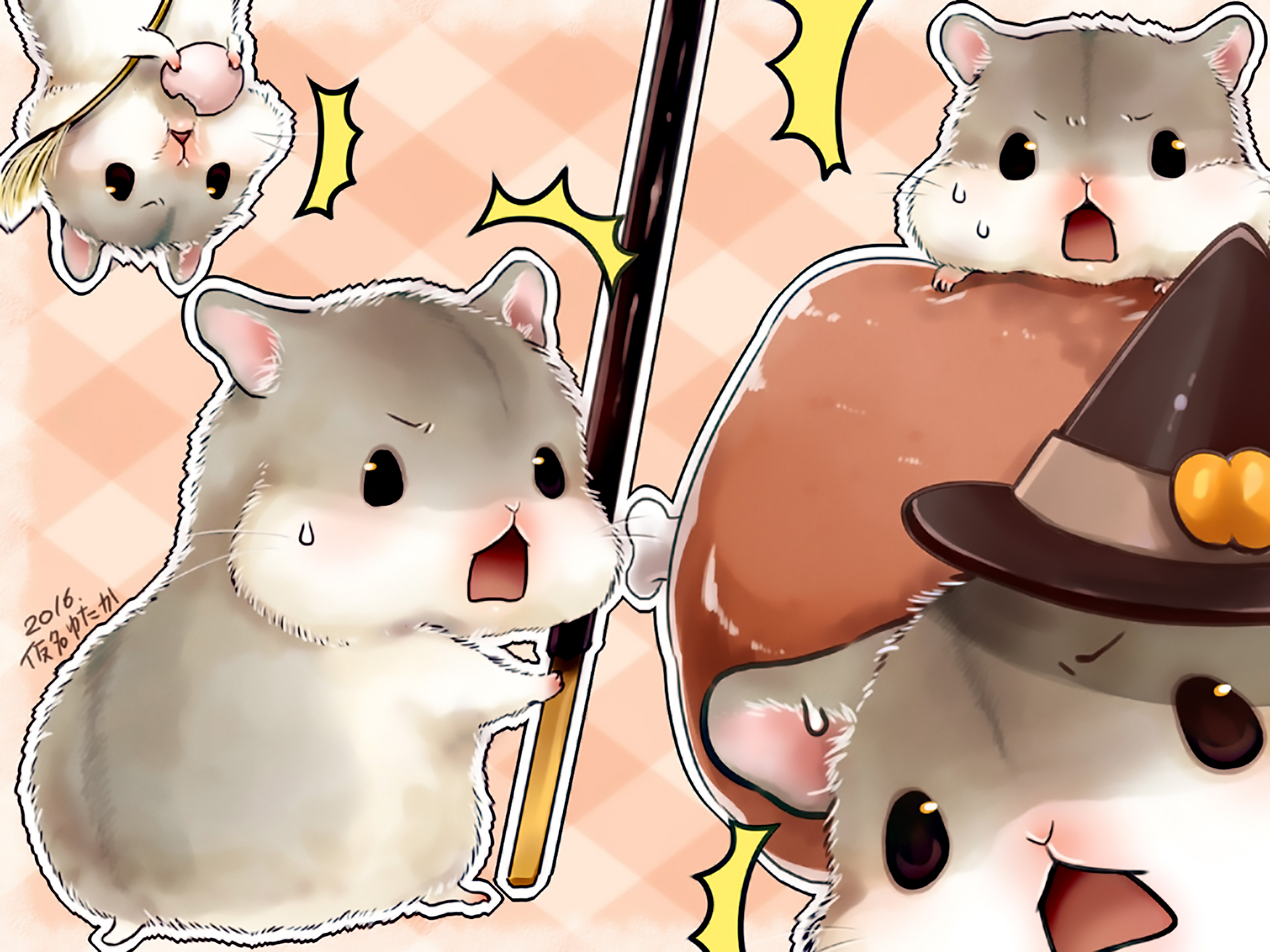 Hamster HD Wallpaper And Background