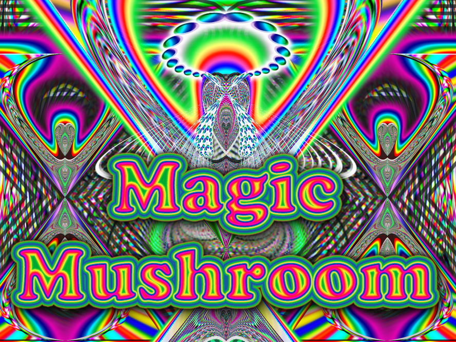Magic Mushroom Wallpaper Release Date Price and Specs