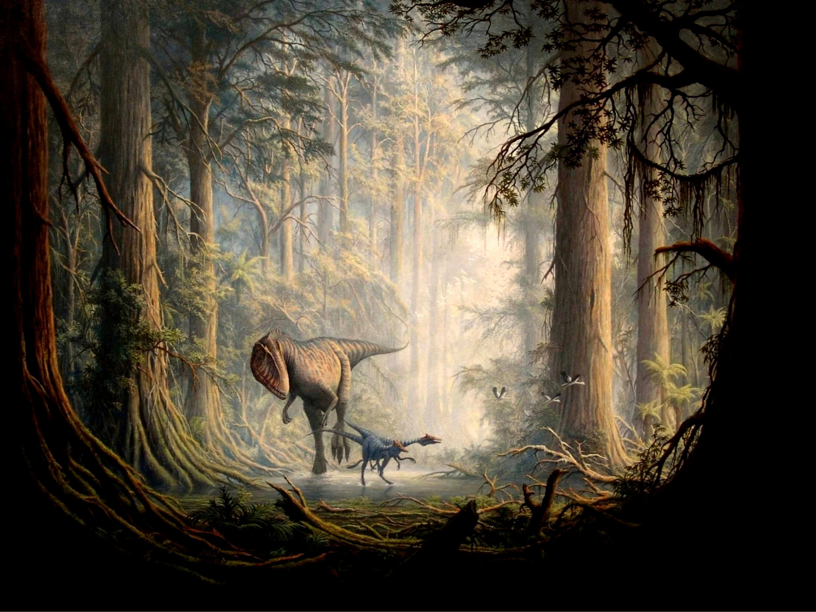High Definition Photo And Wallpaper