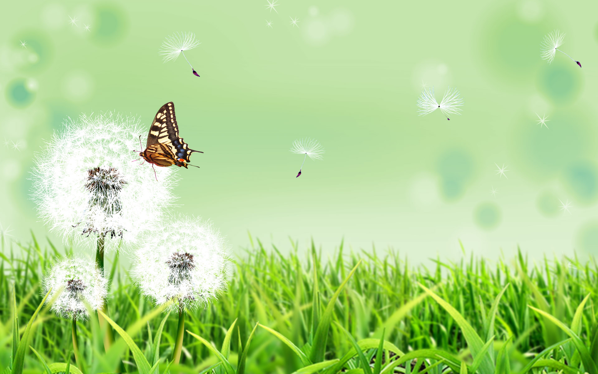 Scenery Wallpaper Includes Dandelion And Butterfly Doing Good
