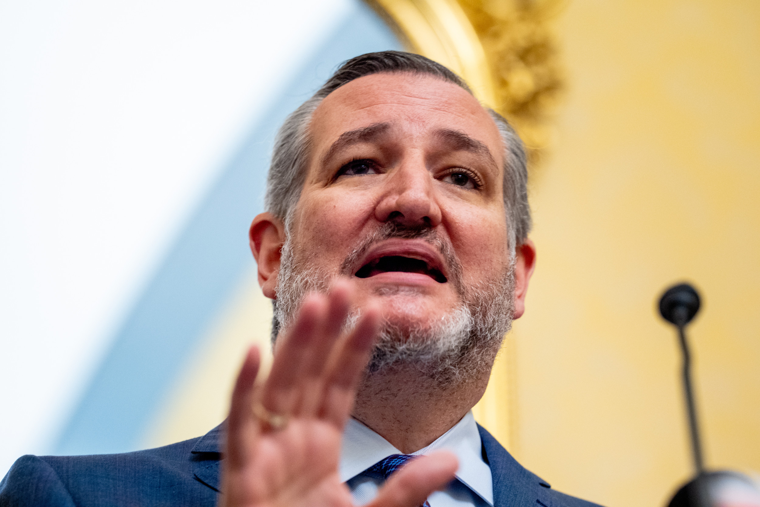 Ted Cruz Slams Blue States For Not Prosecuting Pro Wallpaper