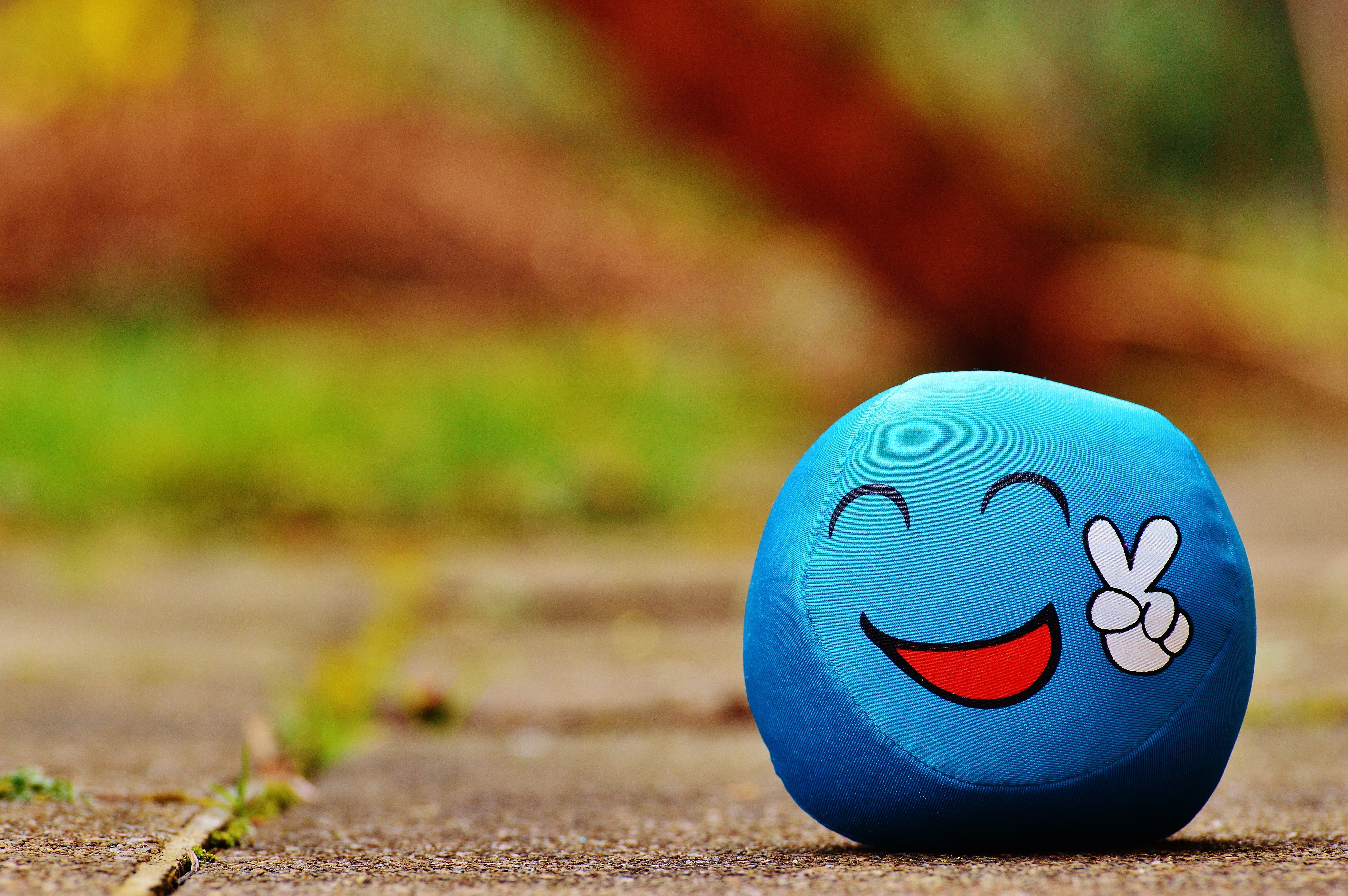 Blue Ball Toy On Ground Image