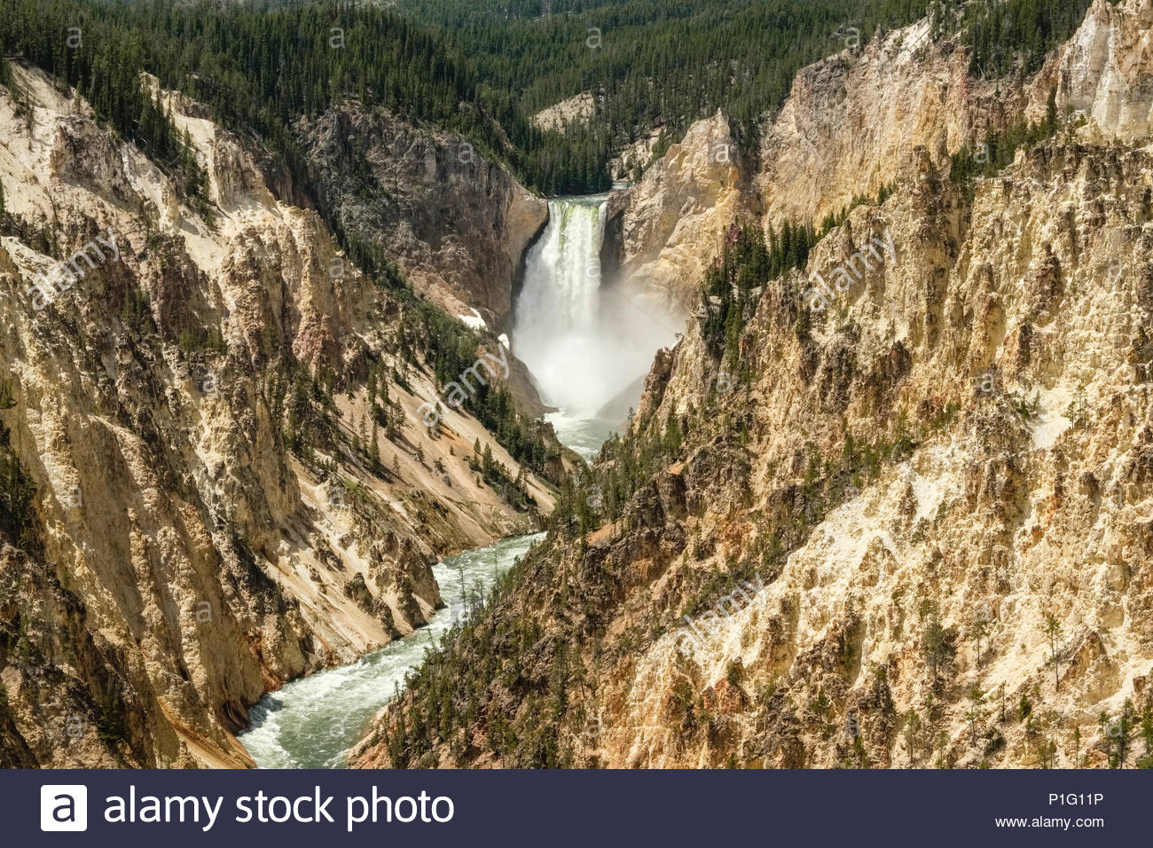 Grand Canyon Of Yellowstone River With Lower Falls In Background