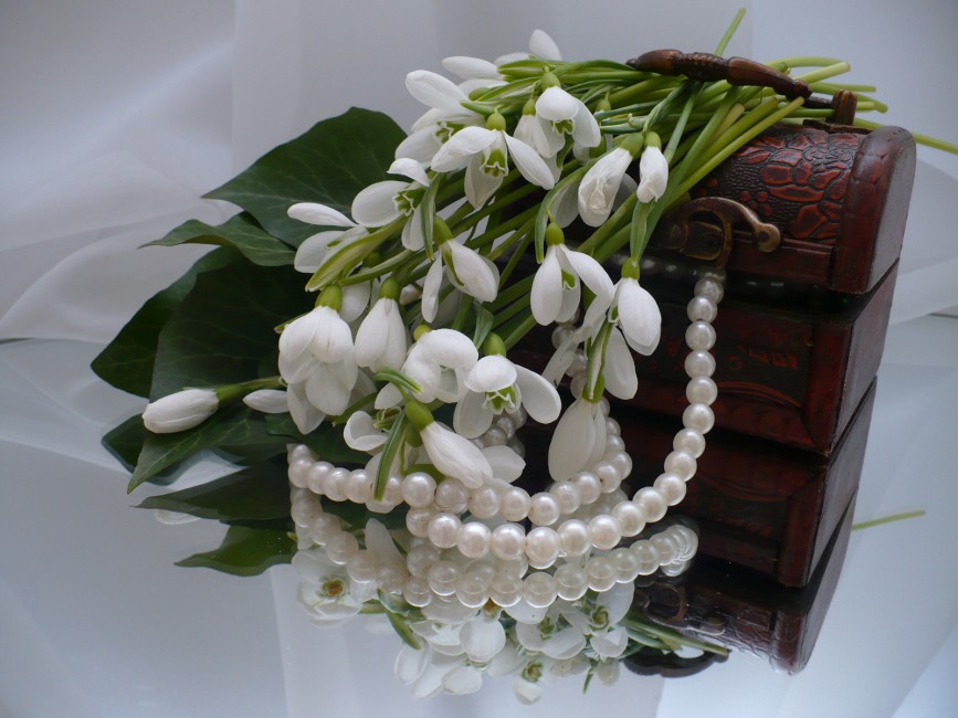 Snowdrops Flowers Casket Jewelry Mirrors Reflection Stock