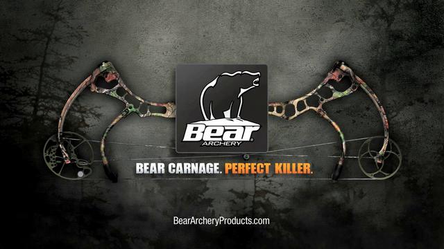 Bear Archery Desktop Wallpaper Image Pictures Becuo