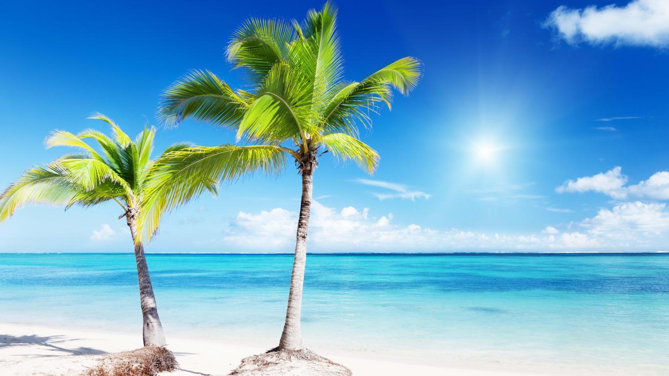 Tropical paradise   133494   High Quality and Resolution Wallpapers