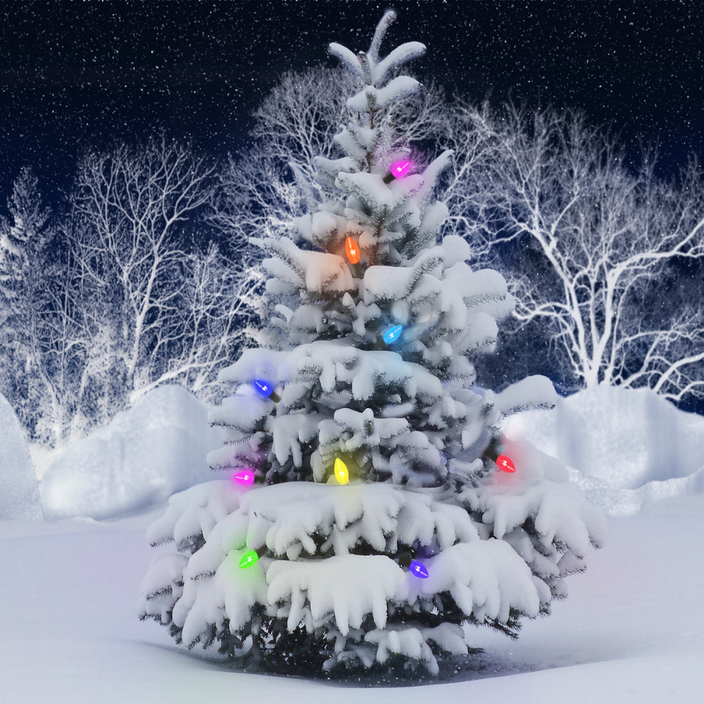 Christmas Tree Lights Snow Holiday Pfp Wallpaper