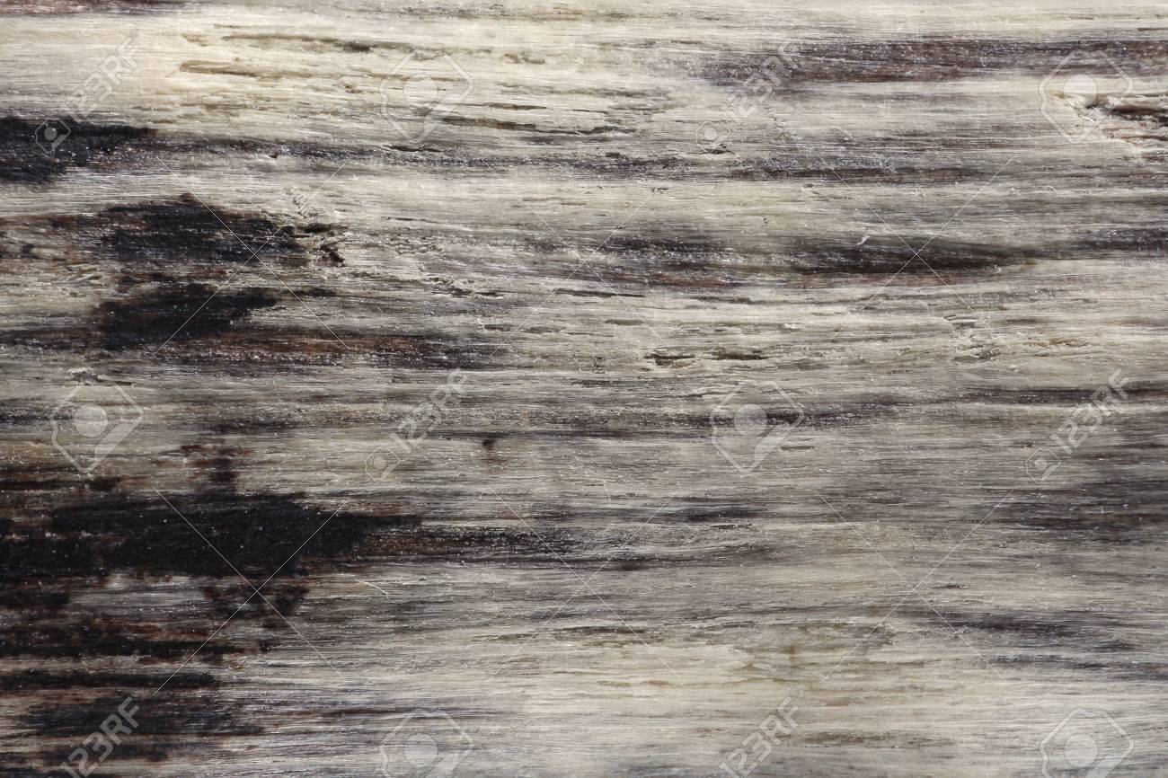 Driftwood Texture Background Stock Photo Picture And Royalty
