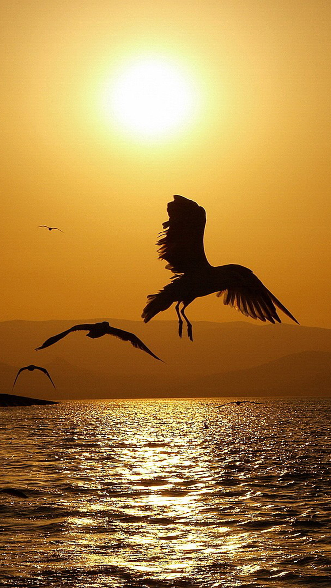 Silhouetted birds soaring over a golden, sunlit sea at sunset