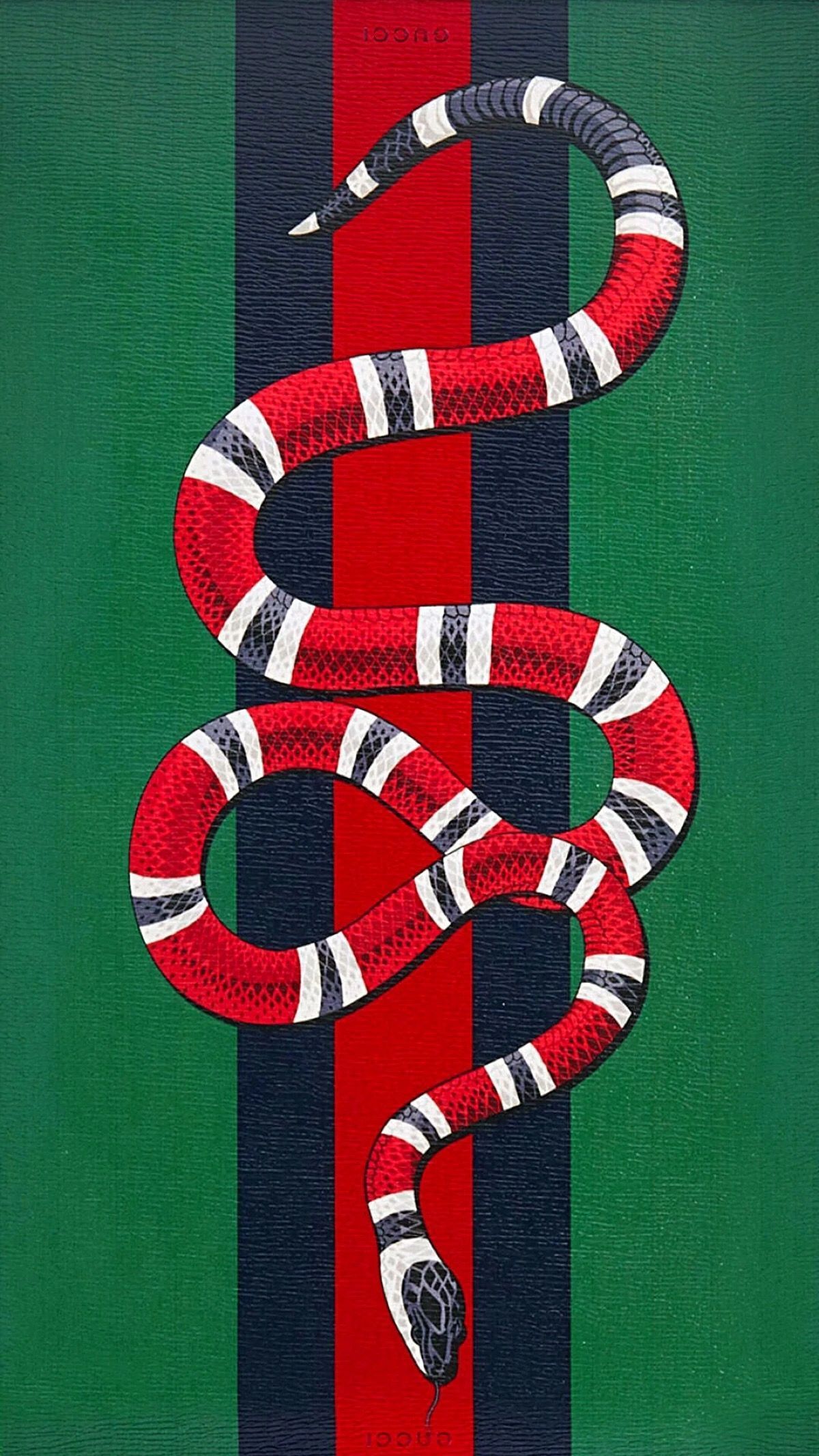 A Gucci coral snake with red, black, and white bands winds its way down a green background with a red and navy stripe. The words 'Gucci' appear in small text at the top and bottom