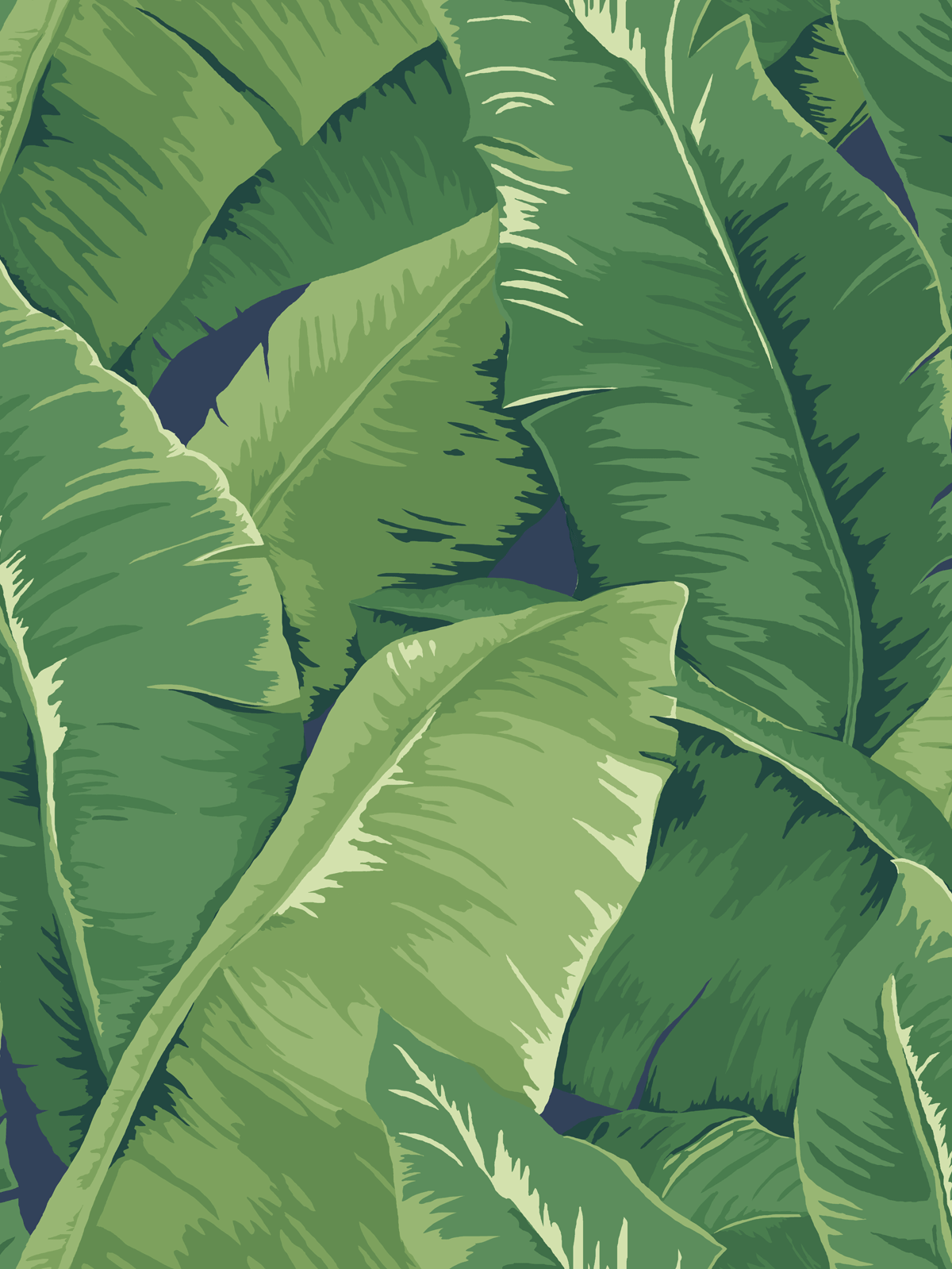 Bold Banana Leaf Wallpaper Jaima Pany