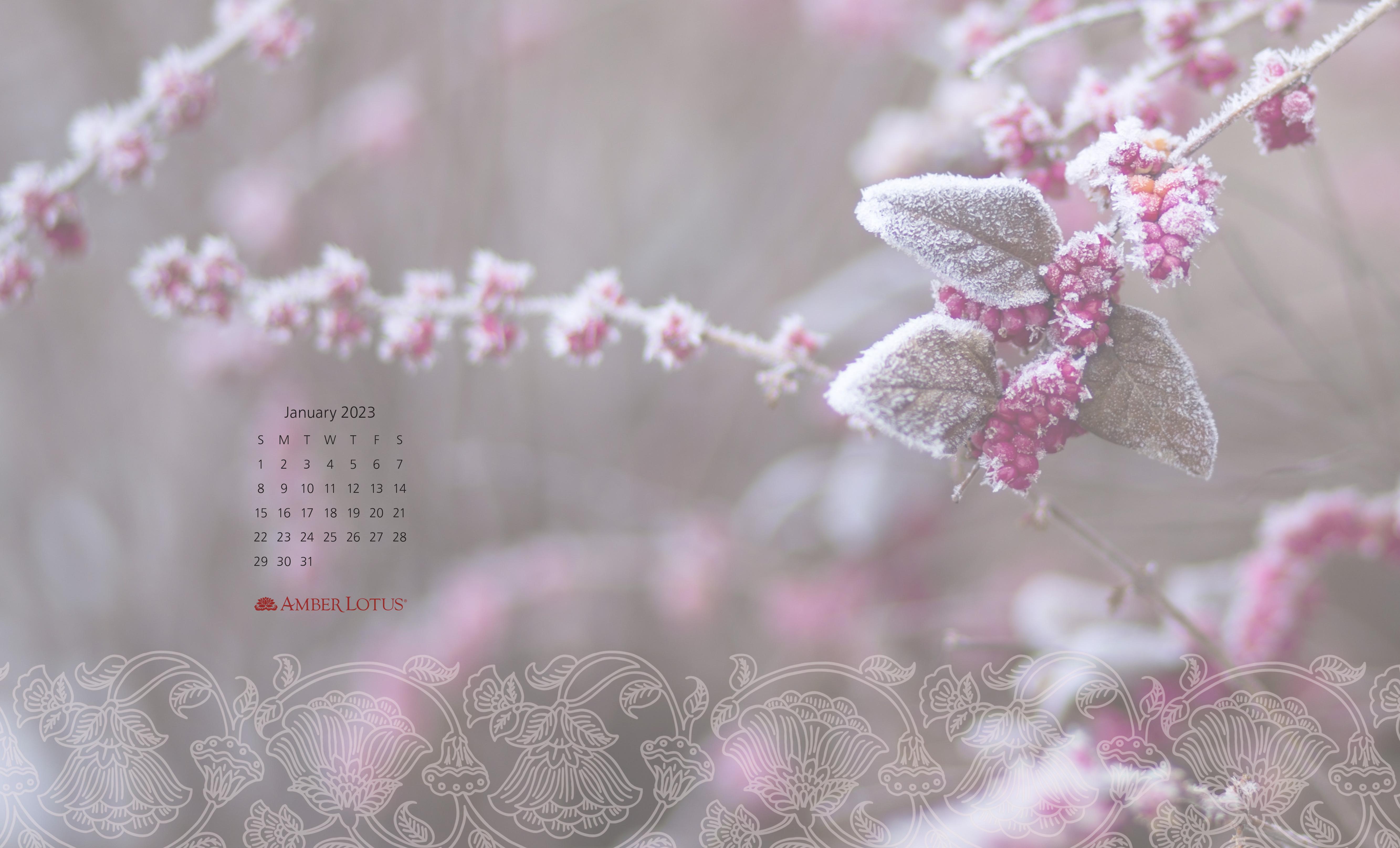 Calendar Wallpaper January To Amber