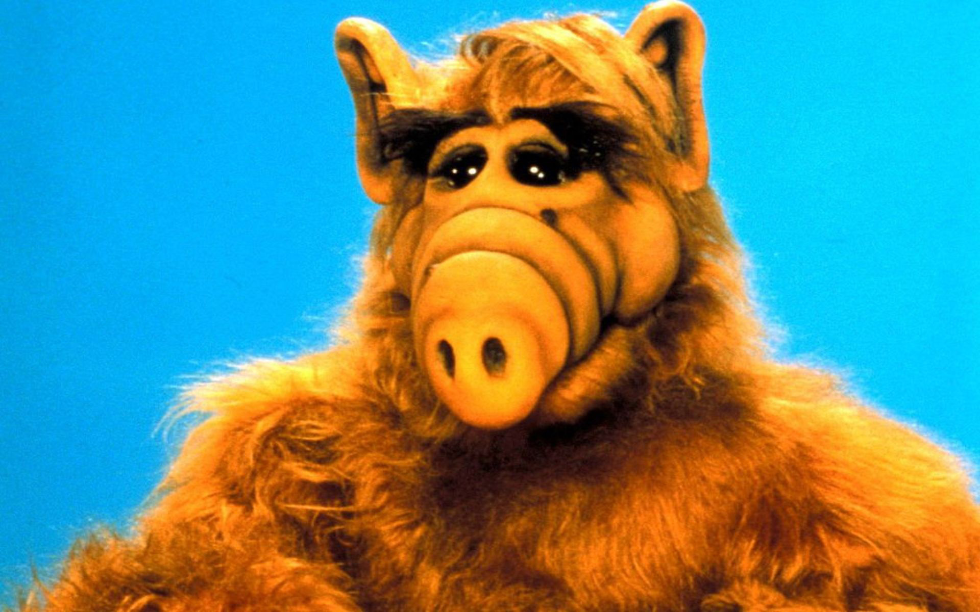 Alf Wallpaper Submited Image
