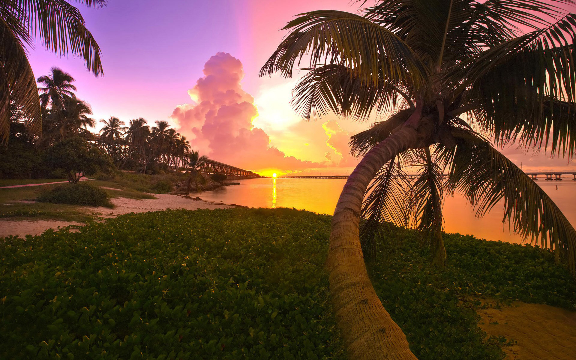  Tropical Sunset Backgrounds hd wallpaper background desktop