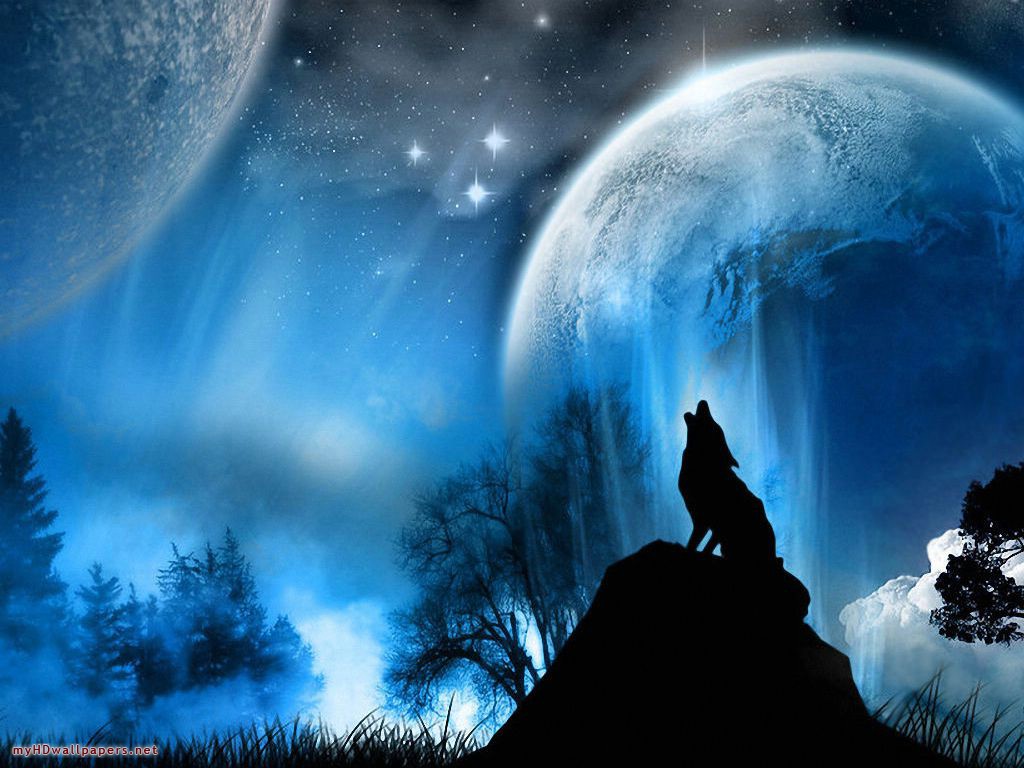 Wolf Moonlight Desktop Wallpaper HD And