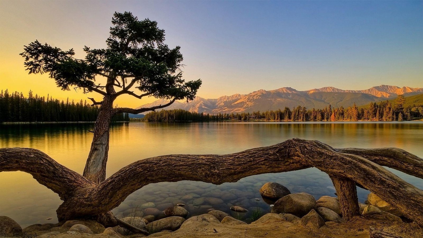Nature Image Wallpaper HD