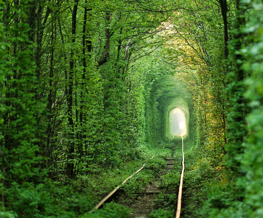 Tunnel Of Love Klevan Ukraine