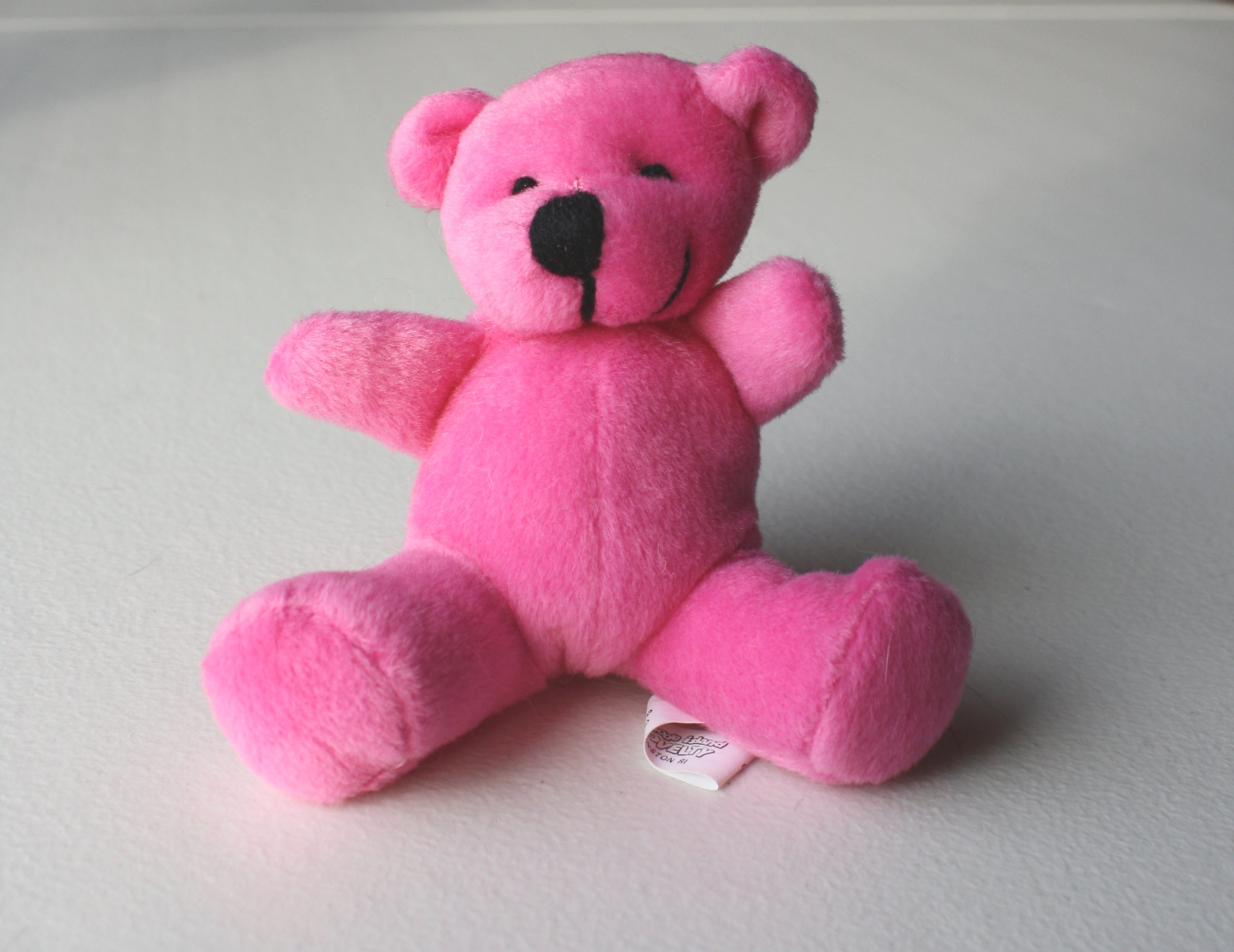 White And Pink Teddy Bear