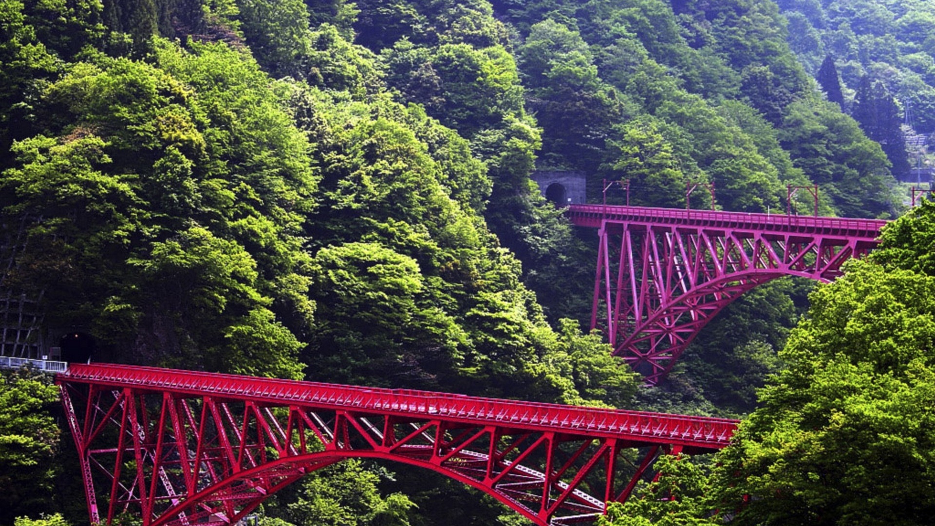 Wallpaper 1920x1080 japan bridge trees height Full HD 1080p