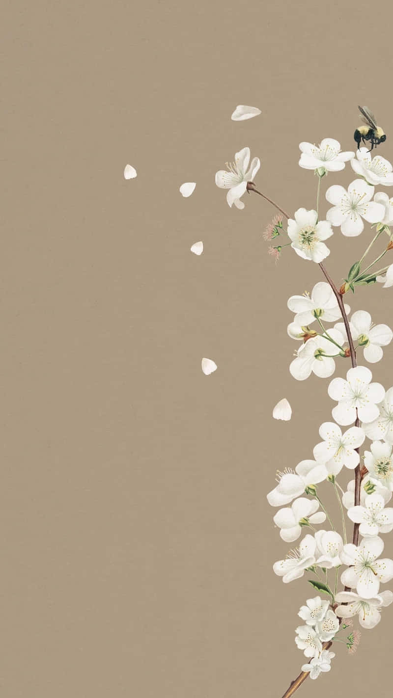 Minimalist Flower Aesthetic Wallpaper