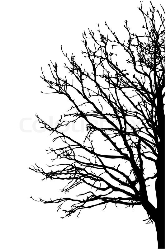 Tree Silhouette Free Vector Graphics 123freevectors