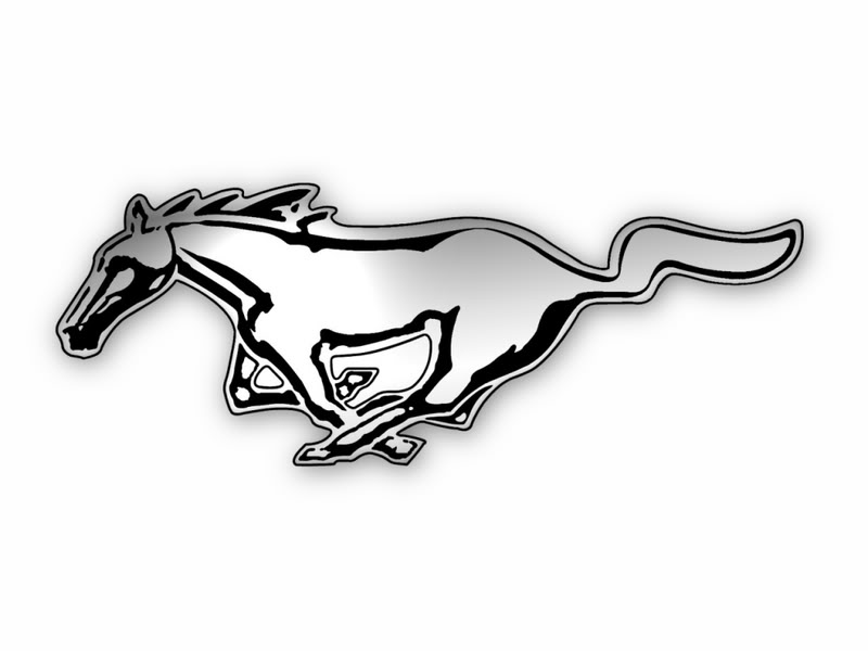 Mustang Horse Graphics Pictures Image For Myspace Layouts