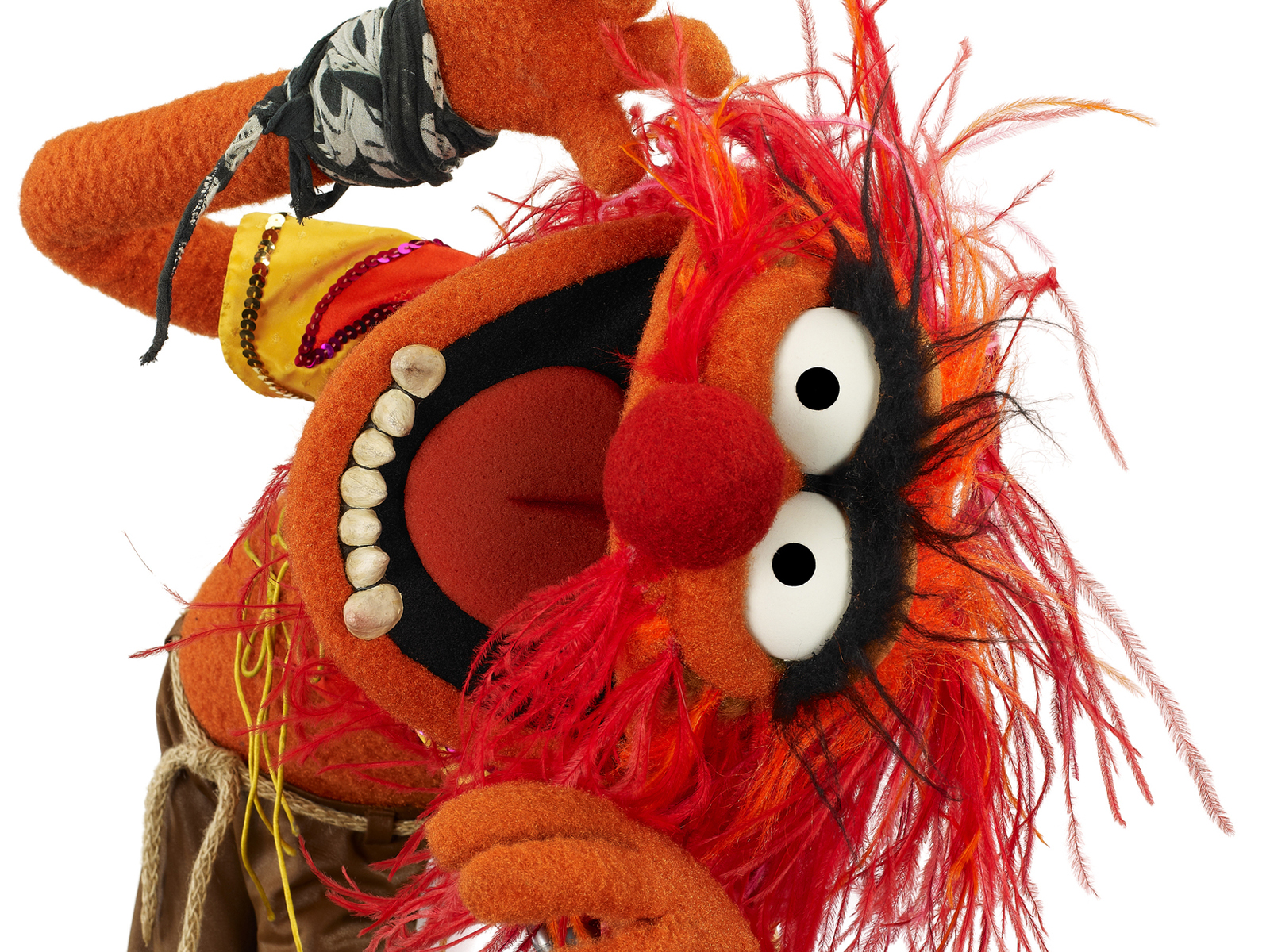 Muppets Animal Wallpaper Imagui For Your