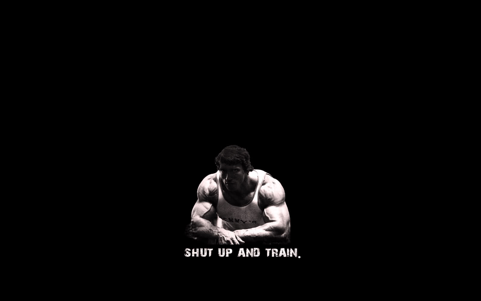 Beast Motivation Arnold Shut up and train Wallpaper