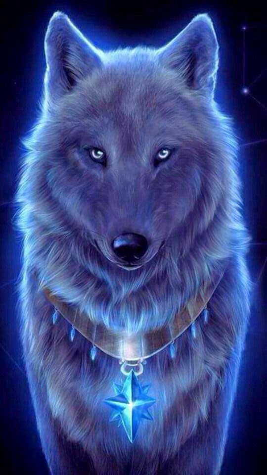 Blue Wolf Wallpaper Wolfs And Dragons In