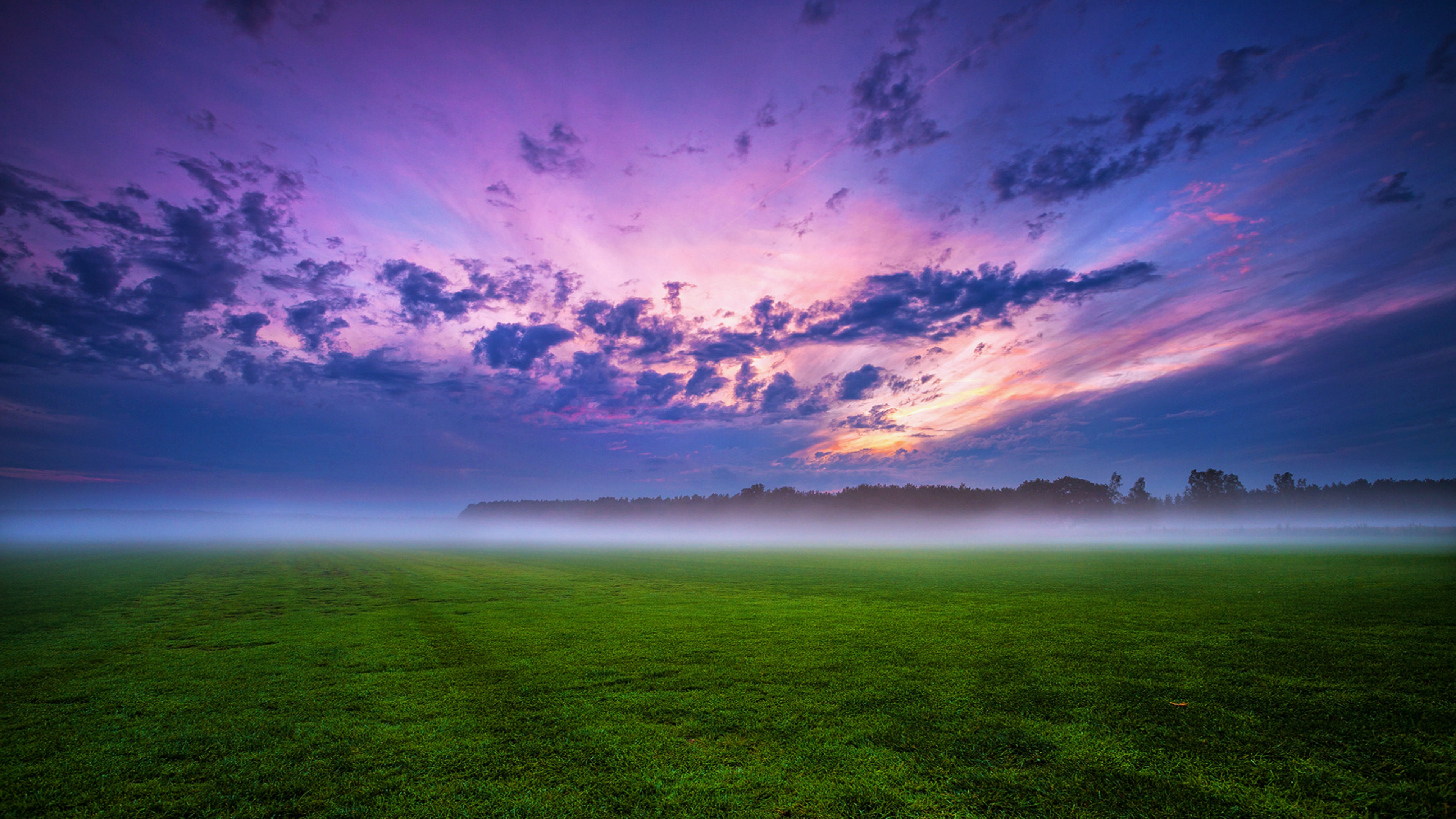 Morning 4k Ultra HD Wallpaper
