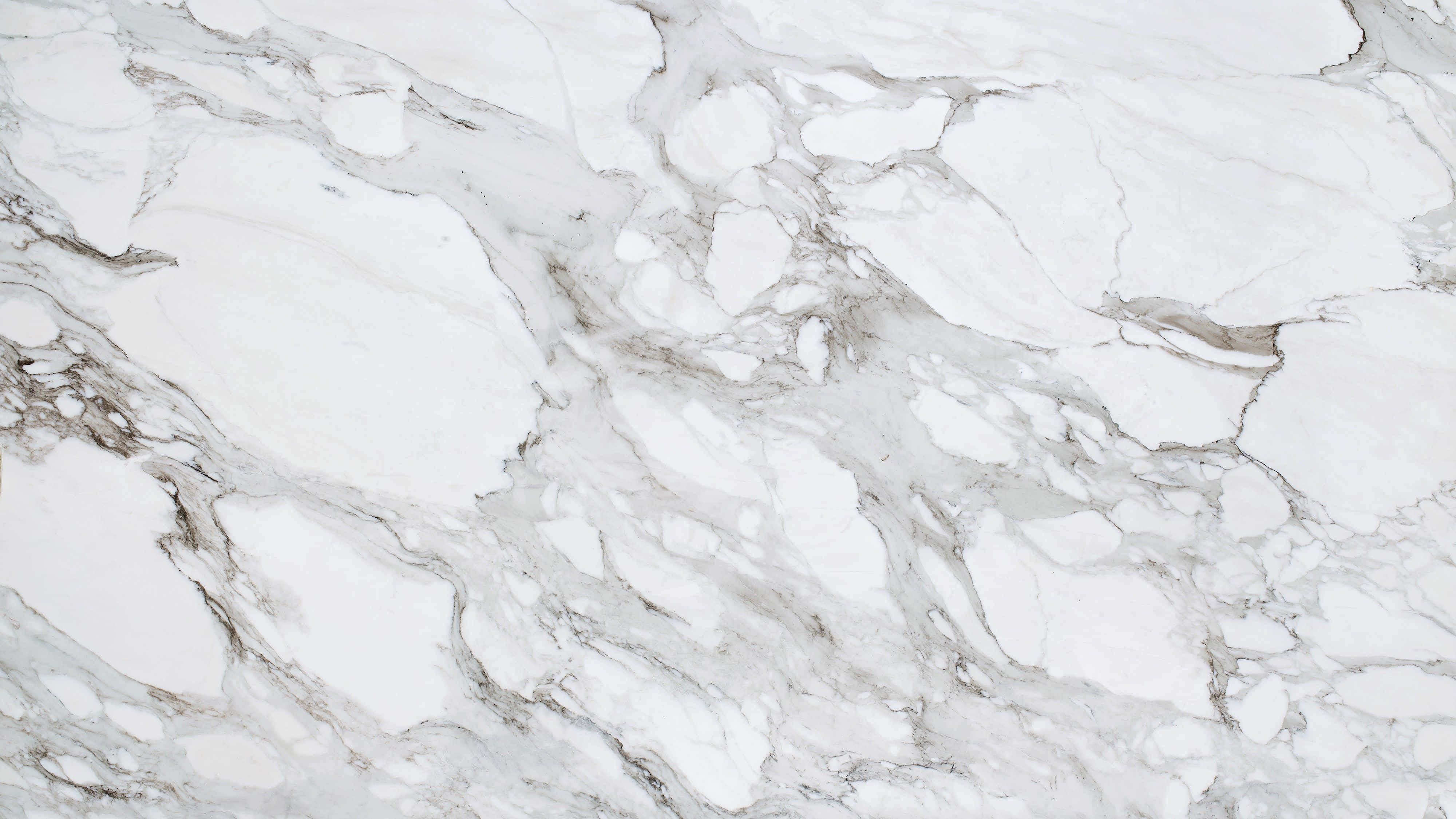 White Texture Picture Wallpaper