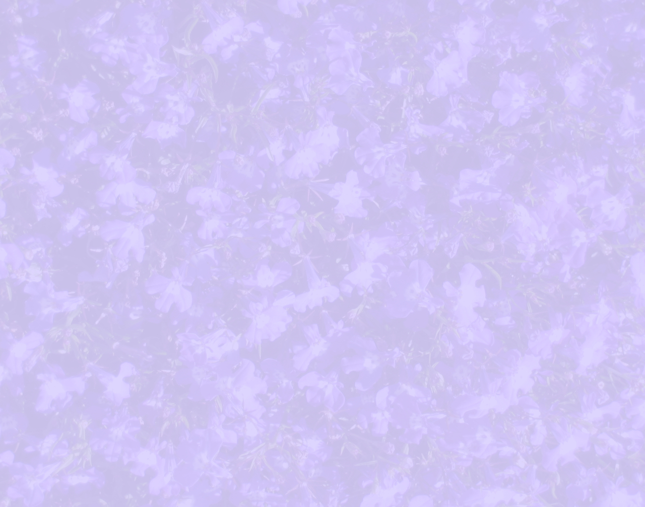 Displaying Image For Light Purple Flower Pattern