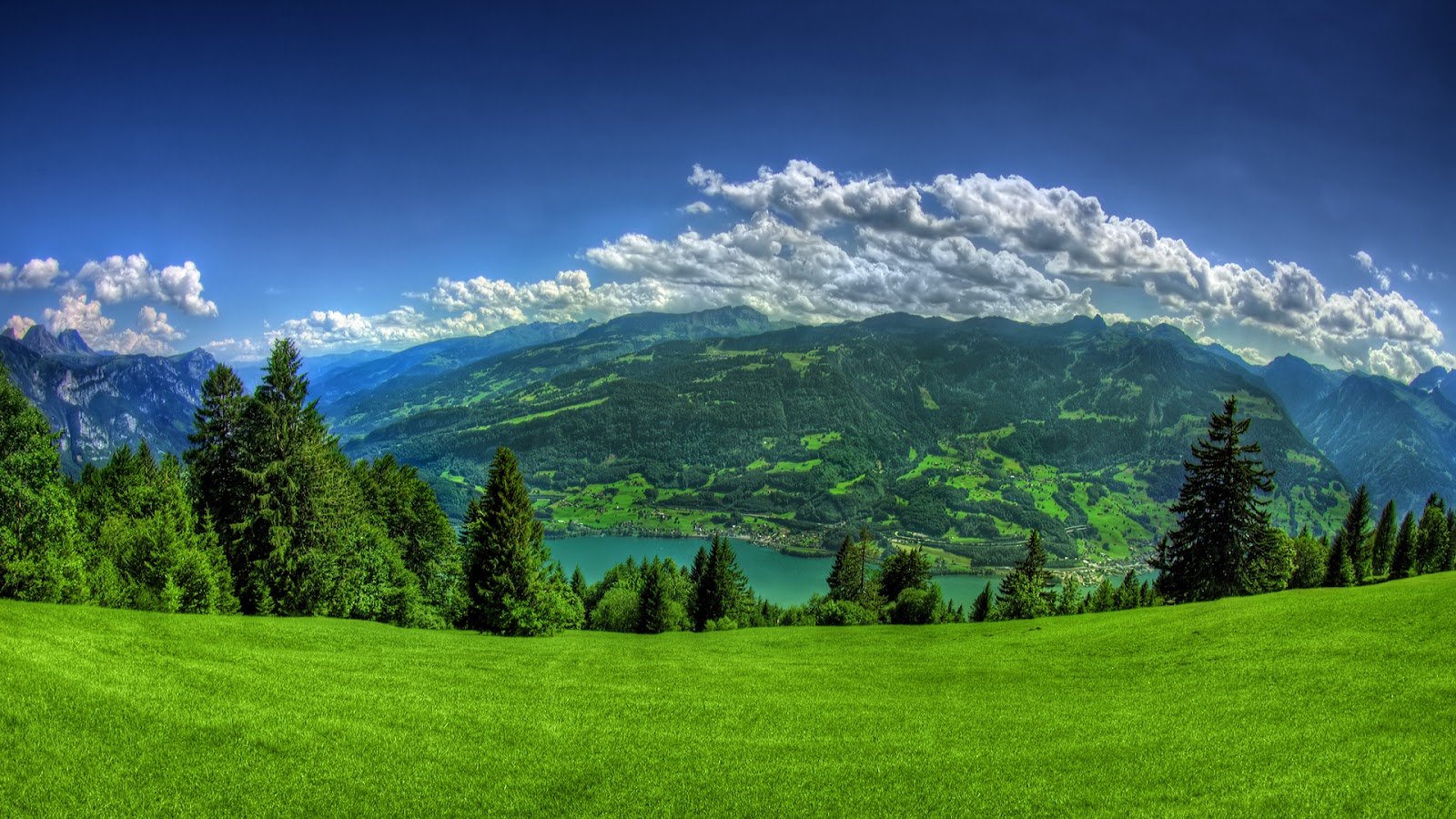 Lush Green Grass Mountain Full HD Nature Background Wallpaper