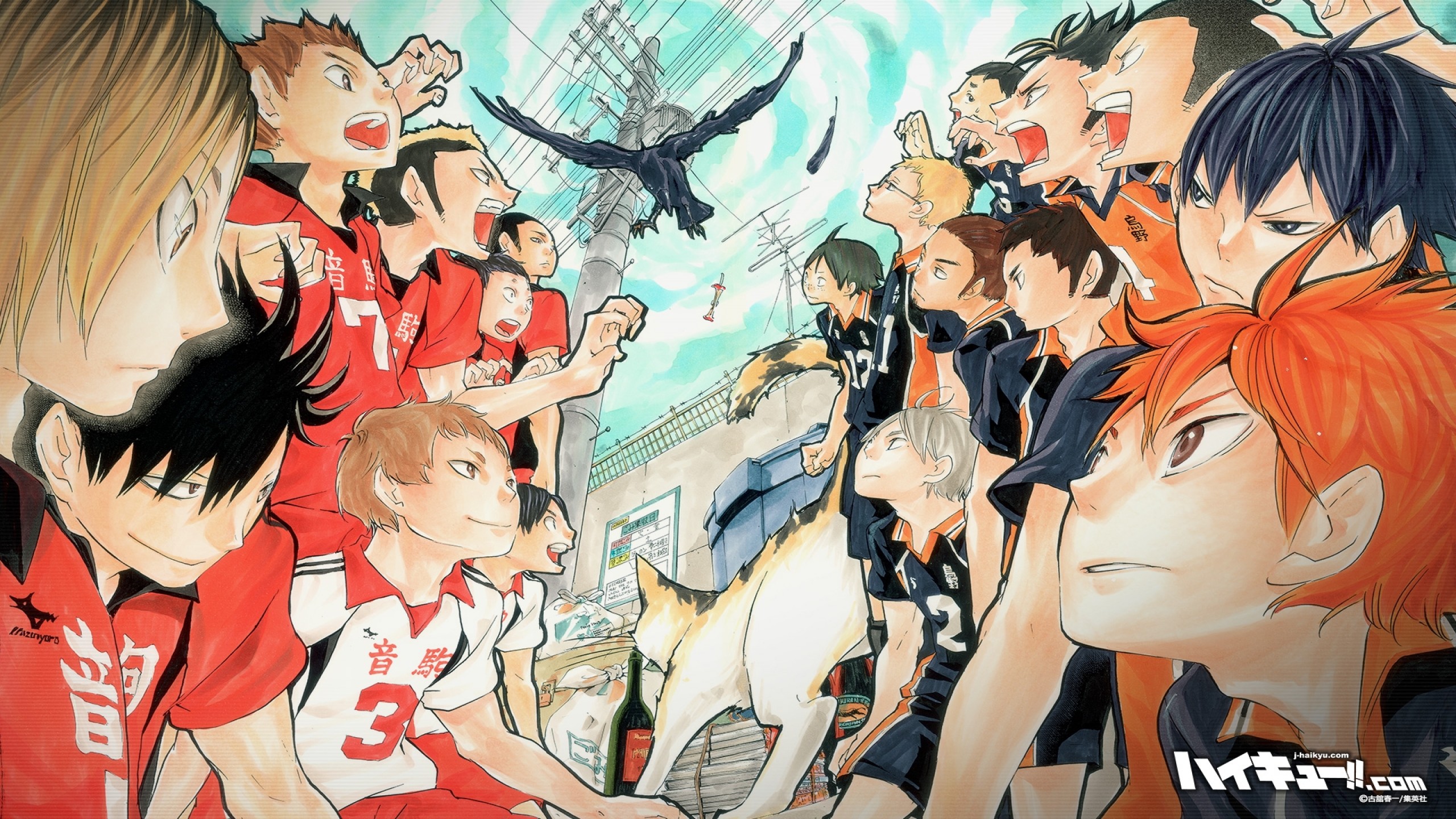 14+ Haikyuu!! Anime Wallpaper Images