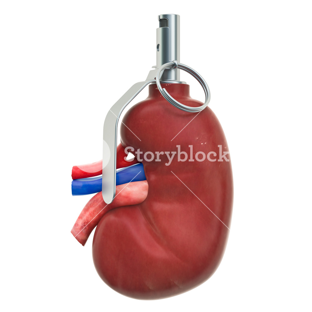 Pain In Kidneys Chronic Kidney Disease Concept Human As
