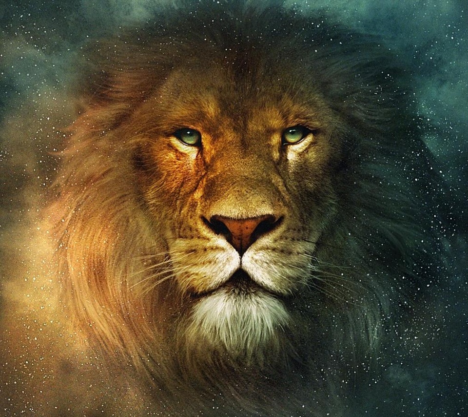 Attractive Animated Lion Wallpaper For All Tablet Pcs