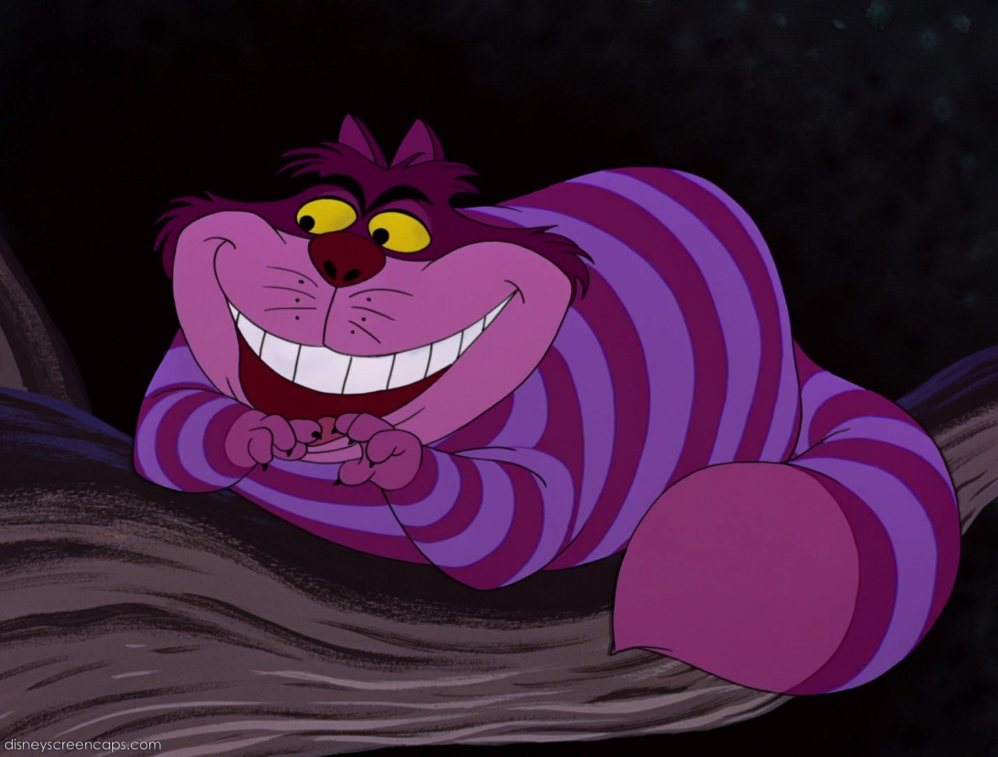 Cheshire Cat Alice In Wonderland Quotes