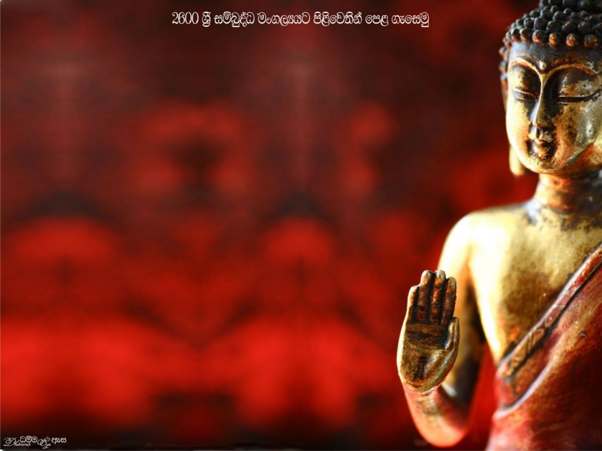 Go Back Image For Zen Buddhism Wallpaper
