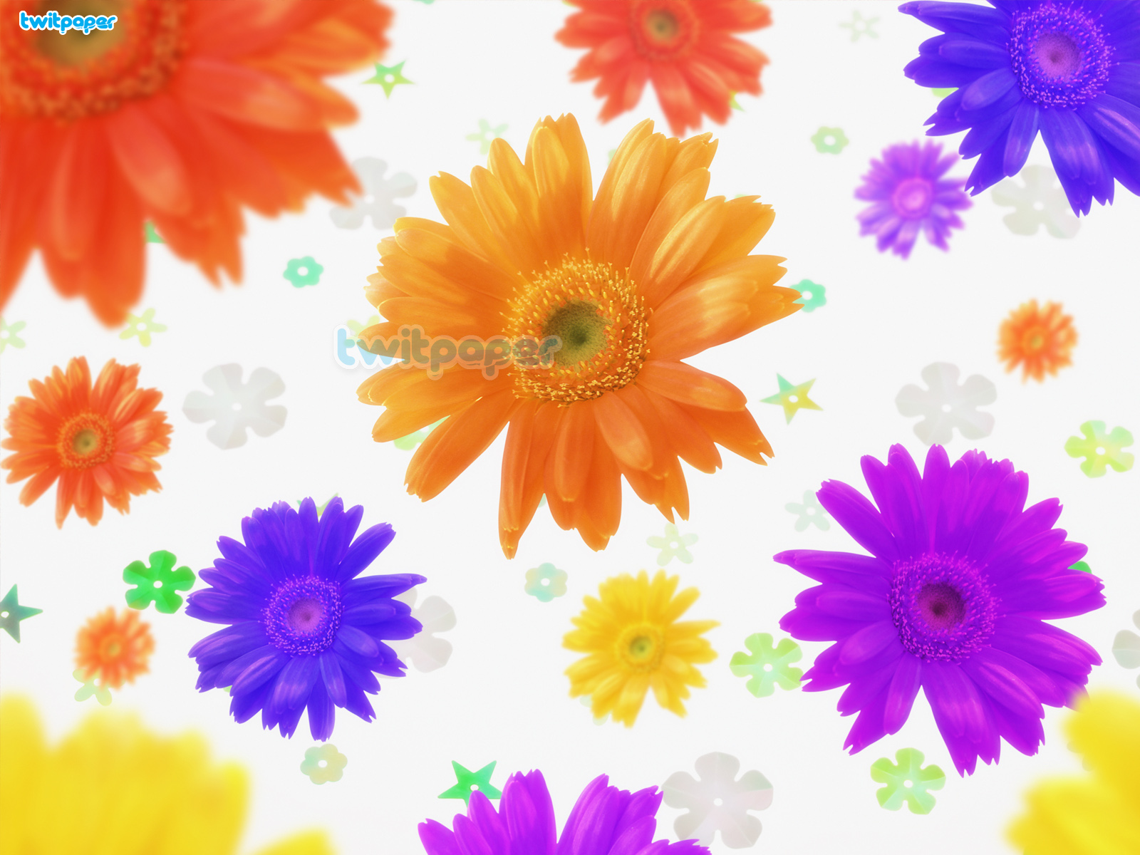 Flower Power Behang Wallpaper